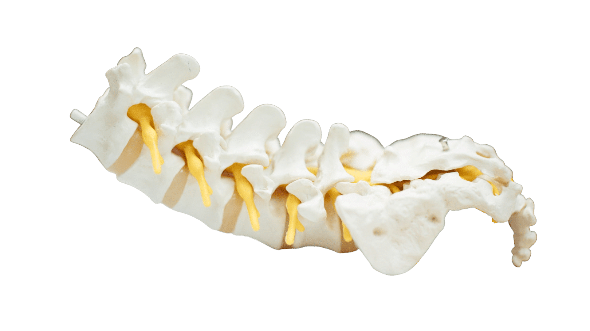 chiropractor